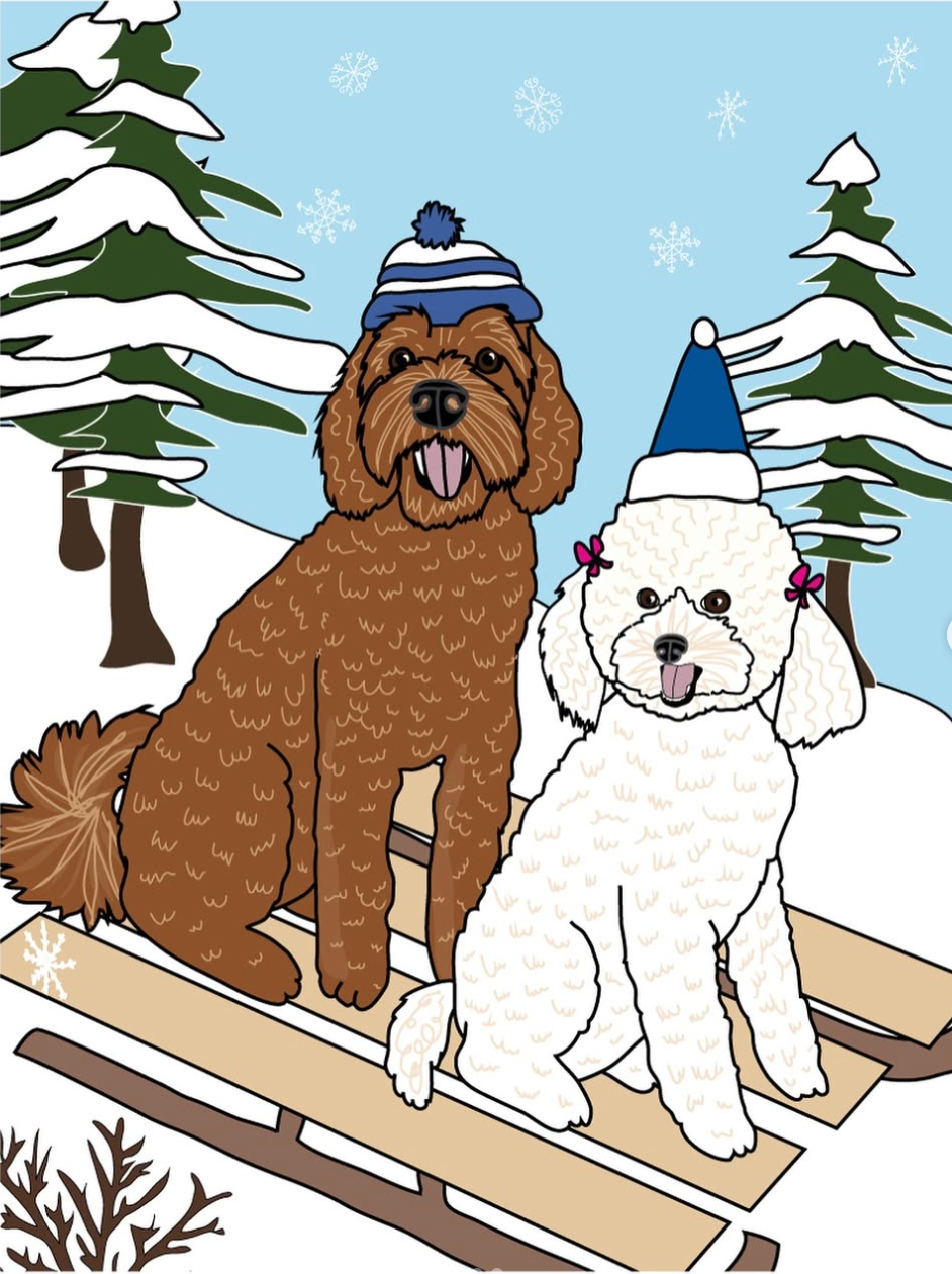 Hand-Drawn Pet Portrait - Full Body