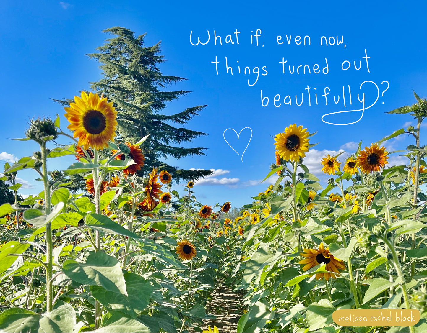 What If, Even Now, Things Turned Out Beautifully?