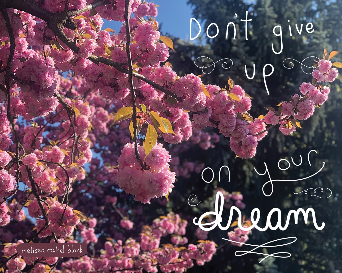 Don't Give Up On Your Dreams - Canvas or Print 8 x 10"