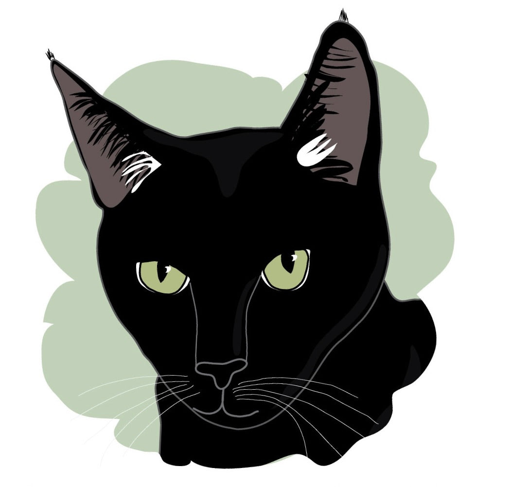 Hand-Drawn Pet Portrait - Face